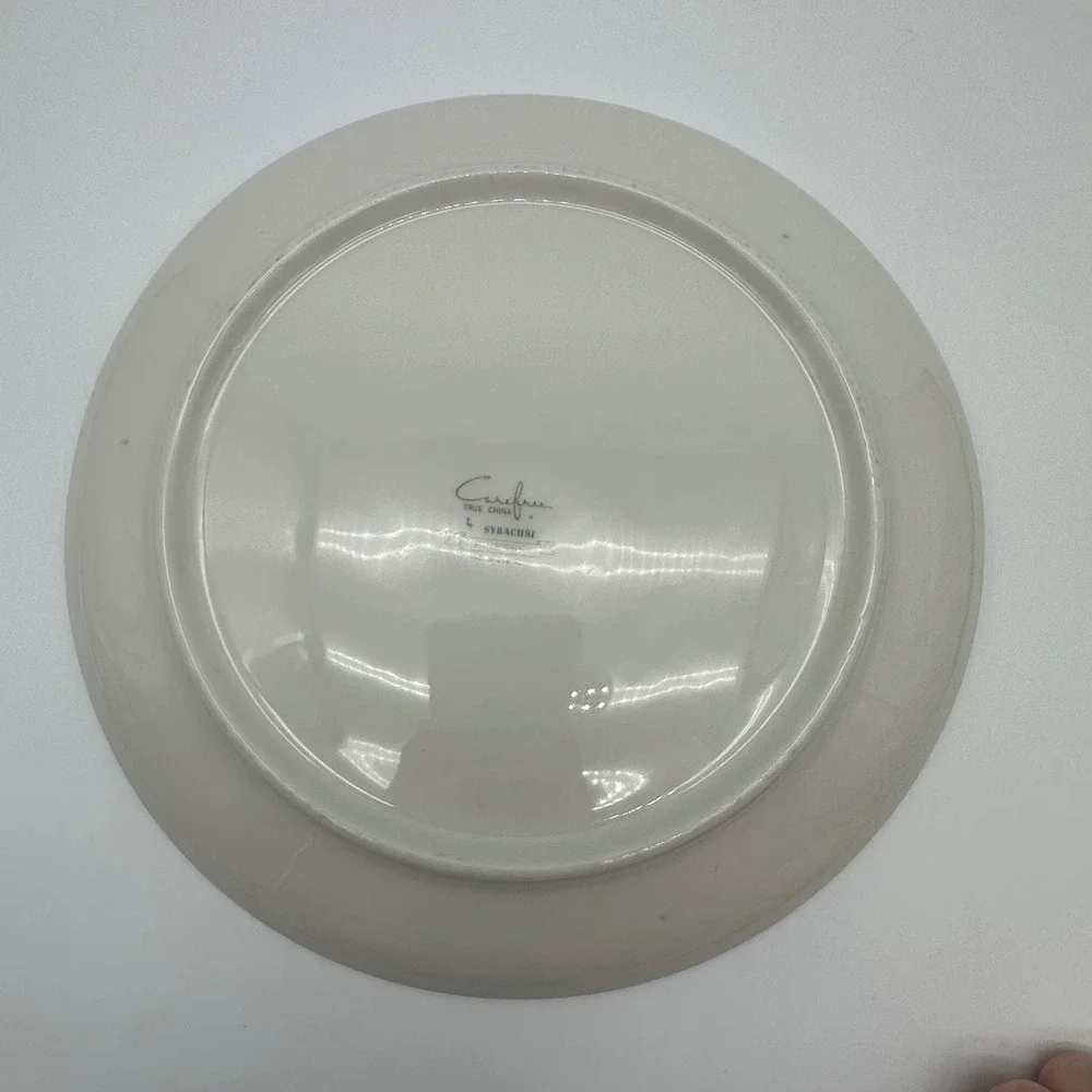 3 Syracuse Carefree True China Finesse Dinner Plates 10 Inch MCM Botanical USA